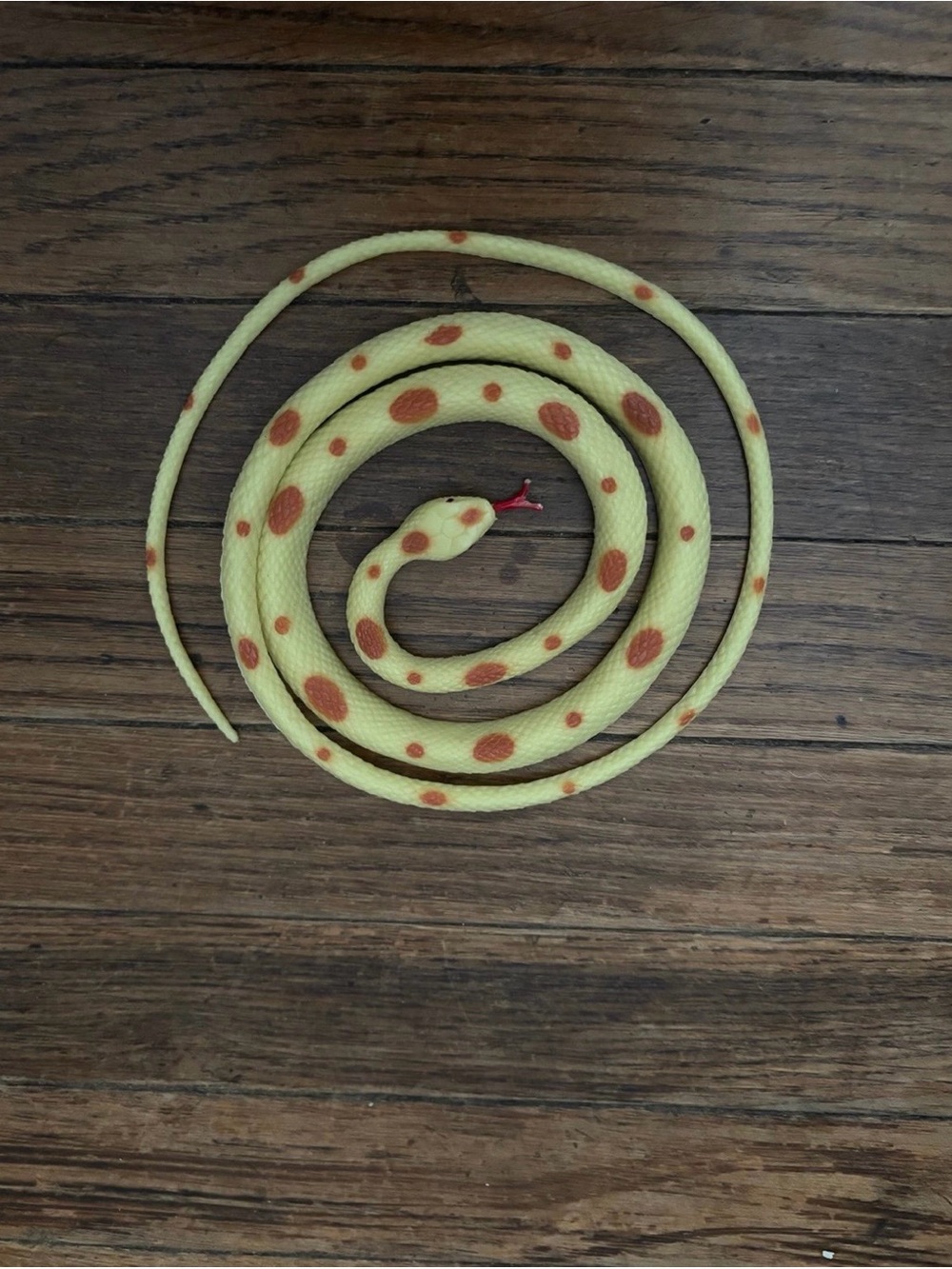 snake toy